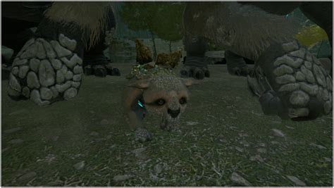 ark gacha|Ark Gacha (Abilities, Production, Taming, Food, Saddle, Breeding .